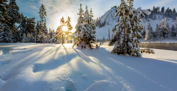 First Newsletter of 2026