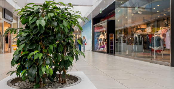 Are Malls Making a Comeback?