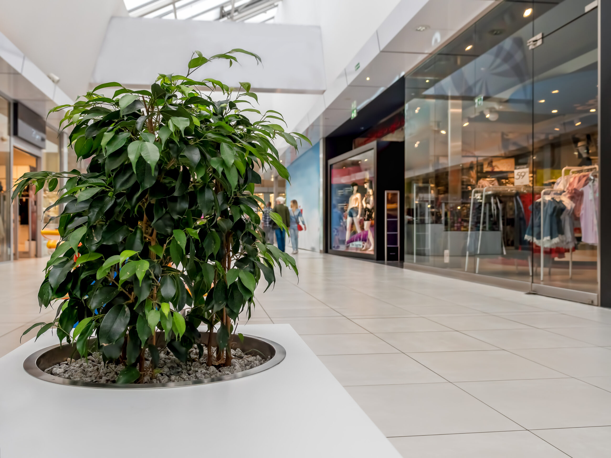 shopping malls