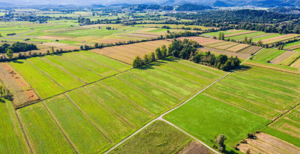 What Farmland’s Quiet Consolidation Means for Land Markets